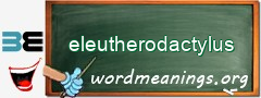 WordMeaning blackboard for eleutherodactylus